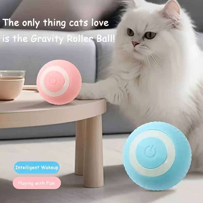 Pawjo Ultra-Støjsvag USB-drevet drikkefontæne til katte og små kæledyr