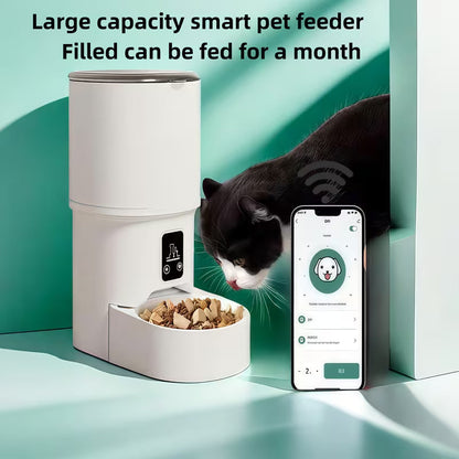 Pawjo WiFi Automatic Pet Feeder